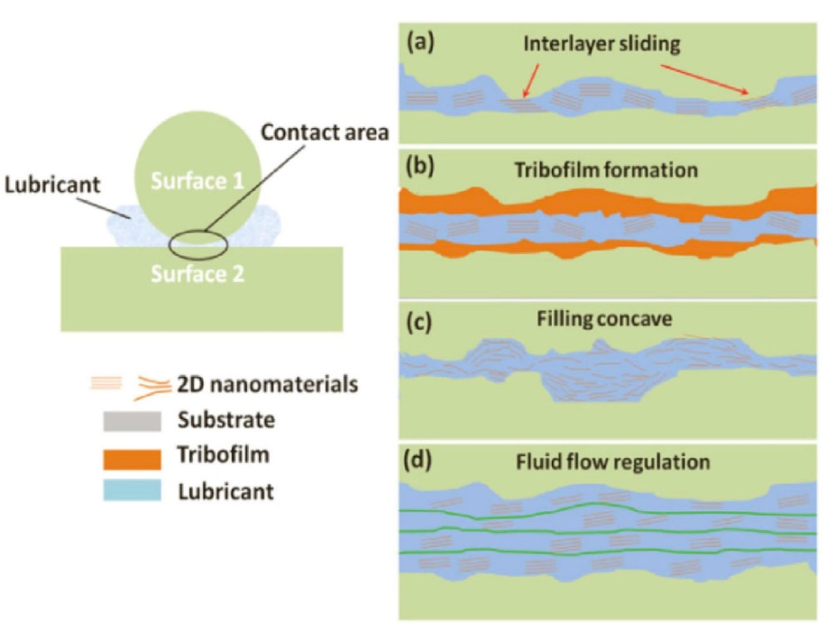 清华大学田煜教授带你了解石墨烯润滑的机理和应用