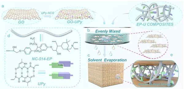 【进展】基于仿生结构聚合物防护涂层设计制备方面取得重要进展