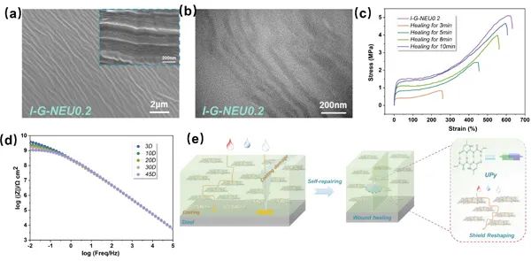 【进展】基于仿生结构聚合物防护涂层设计制备方面取得重要进展