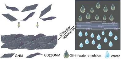 AFM: 细胞膜启发的石墨烯纳米网膜