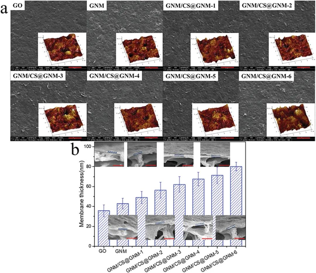 AFM: 细胞膜启发的石墨烯纳米网膜