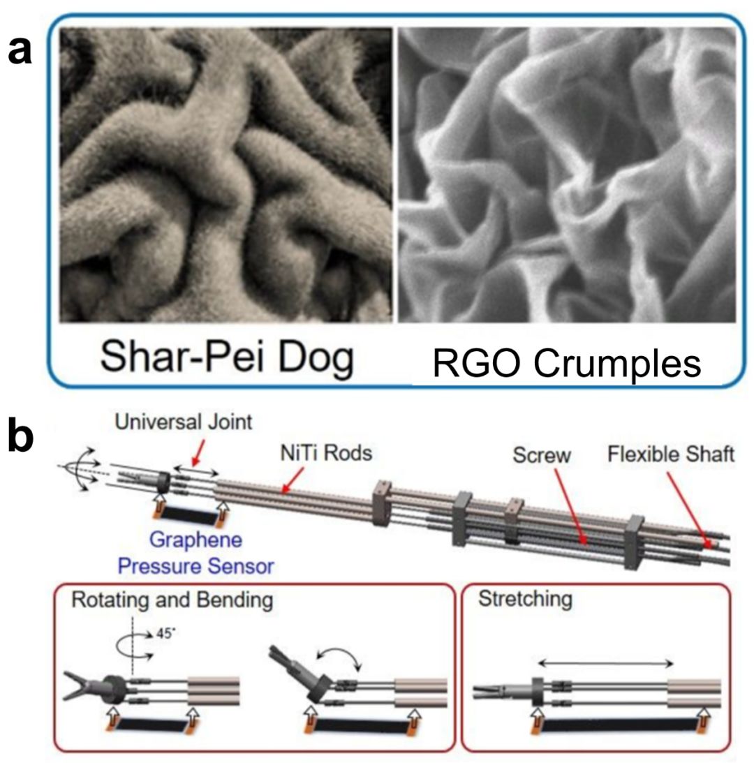 电子皮肤大汇总！基于石墨烯的触觉传感器