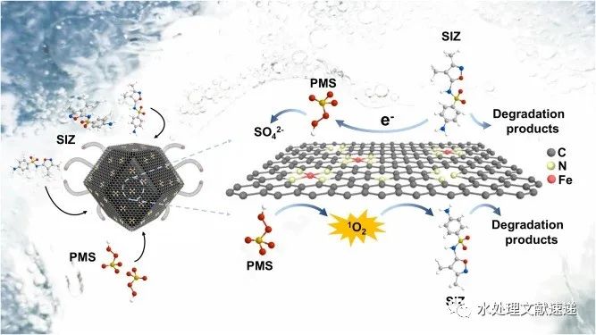 文献速递|四川大学赖波教授团队CEJ：N掺杂石墨烯中封装的Fe活性位点活化PMS–吸附和电子转移主导的非自由基机制