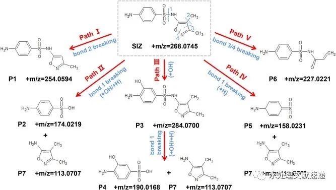 文献速递|四川大学赖波教授团队CEJ：N掺杂石墨烯中封装的Fe活性位点活化PMS–吸附和电子转移主导的非自由基机制
