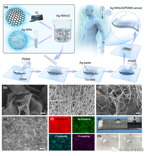 上海海事大学《ACS AMI》：基于银纳米线/石墨烯复合材料的低温可穿戴应变传感器