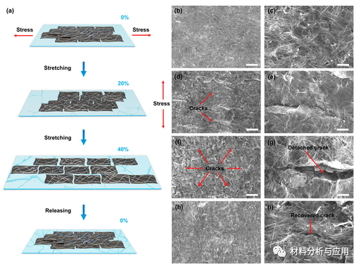 上海海事大学《ACS AMI》：基于银纳米线/石墨烯复合材料的低温可穿戴应变传感器
