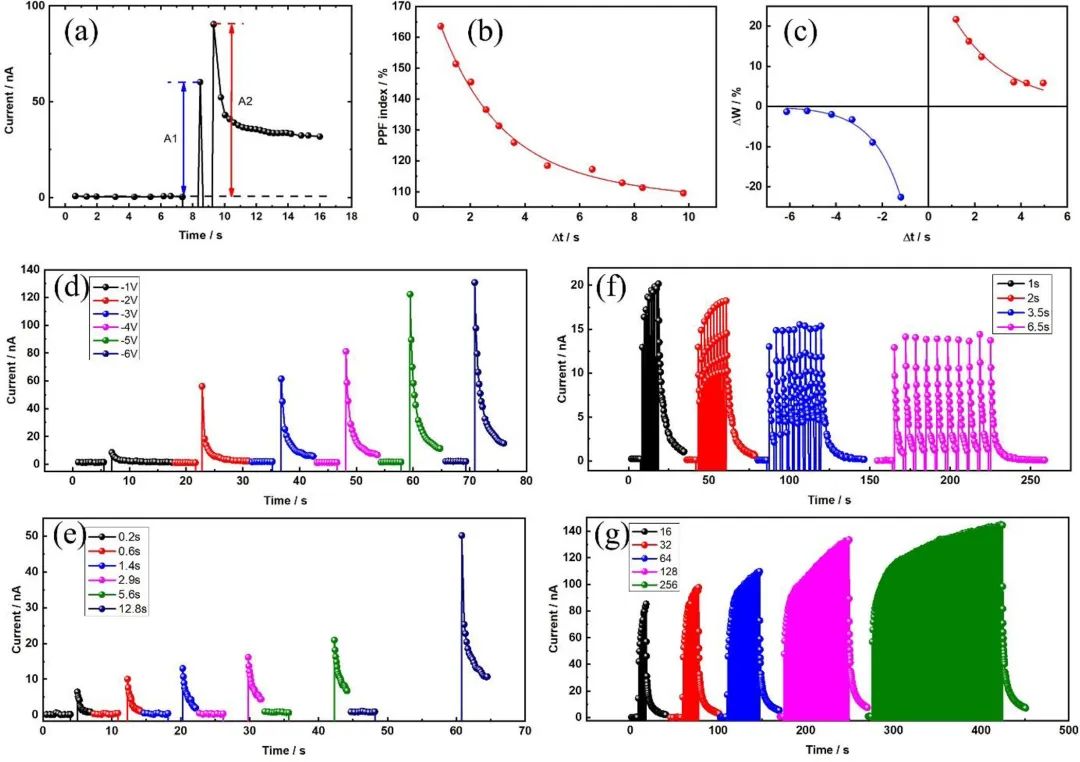 ACS AMI | 稳定、低功耗黑磷－石墨烯人工突触器件