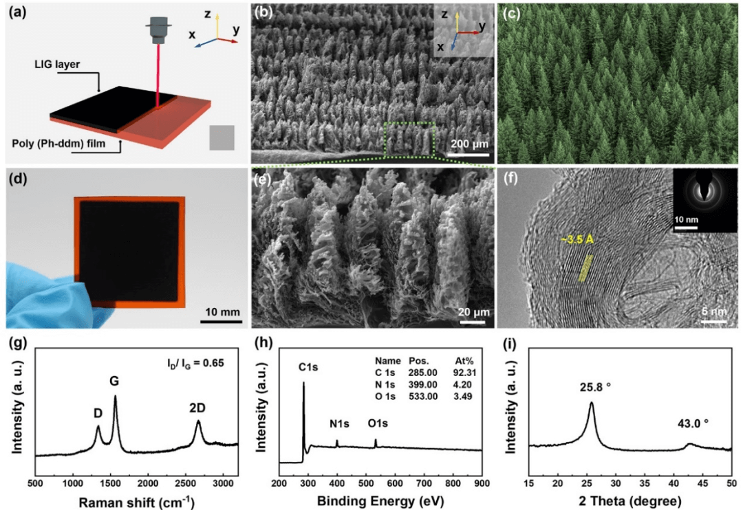 中科院宁波材料所刘小青团队《ACS Nano》：在树脂基碳材料制备上取得新进展