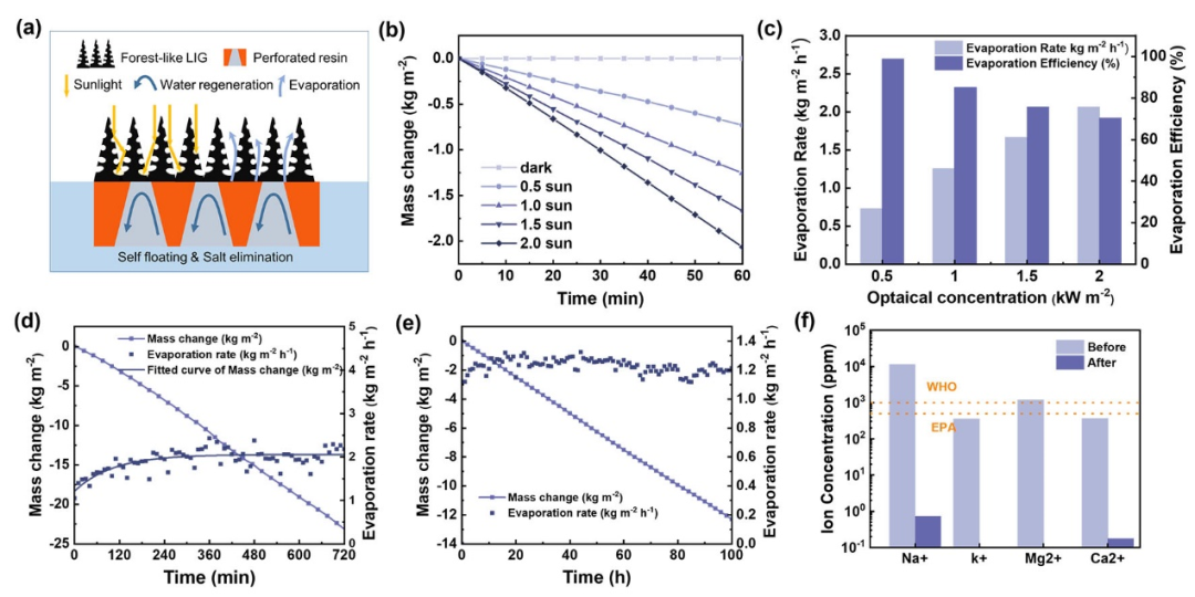 中科院宁波材料所刘小青团队《ACS Nano》：在树脂基碳材料制备上取得新进展