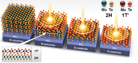 北京大学刘忠范院士及香港城市大学张华教授等人综述: 二维材料最新进展