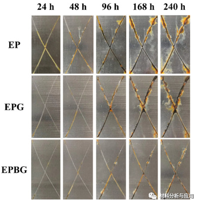 清华大学《Carbon》：由超高剥离石墨烯和贻贝启发的化学物质实现的智能可修复防腐涂层