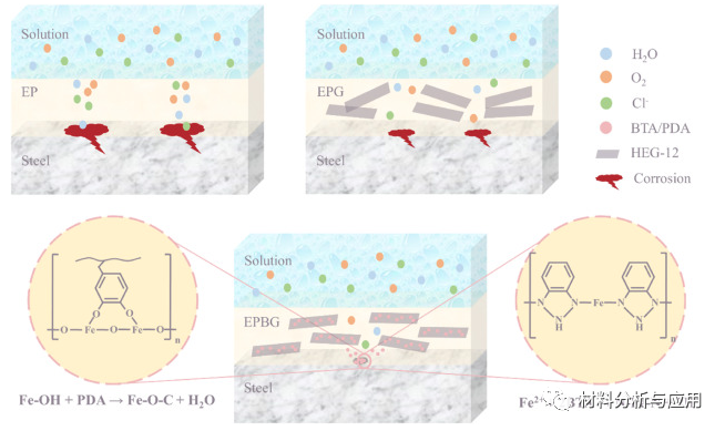 清华大学《Carbon》：由超高剥离石墨烯和贻贝启发的化学物质实现的智能可修复防腐涂层