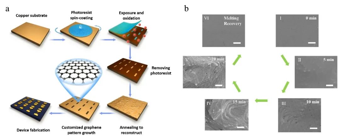 中科院重庆研究院史浩飞研究员团队 《Adv. Funct. Mater.》 ：高质量单层图案化石墨烯的原位生长