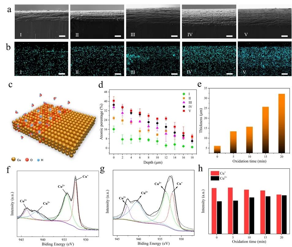 中科院重庆研究院史浩飞研究员团队 《Adv. Funct. Mater.》 ：高质量单层图案化石墨烯的原位生长