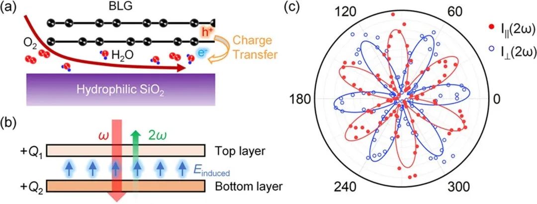 西北工大甘雪涛课题组 Nano Lett. | 双层石墨烯的对称性破缺及强二次谐波