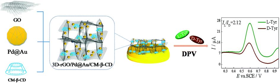 山西大学梁文婷、双少敏团队 | 基于羧甲基-β-环糊精/Pd@Au/三维石墨烯的选择性电化学手性界面用于酪氨酸对映异构体识别