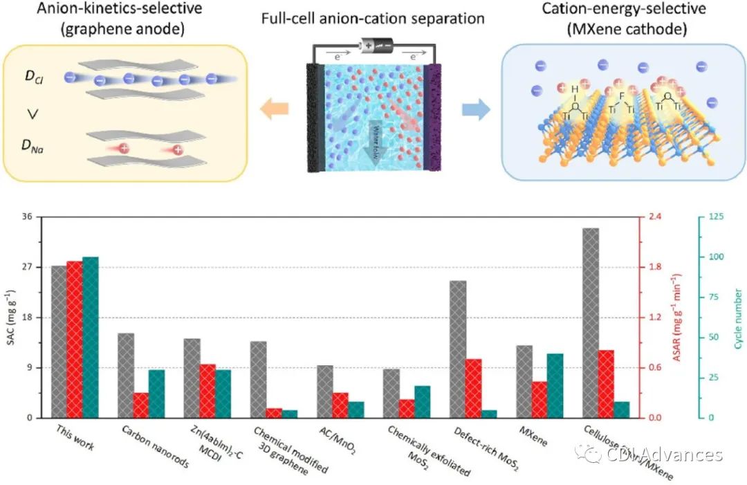 用于高性能电容去离子的阴离子动力学选择性石墨烯阳极和阳离子能量选择性MXene阴极