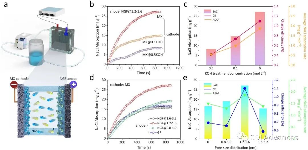 用于高性能电容去离子的阴离子动力学选择性石墨烯阳极和阳离子能量选择性MXene阴极