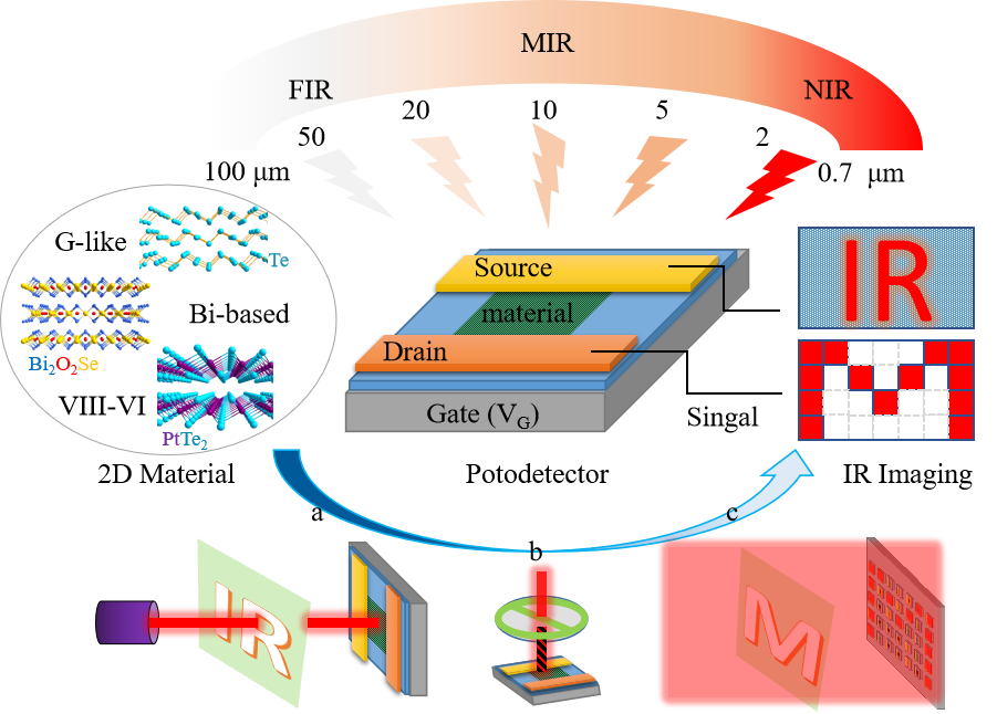 南京理工大学曾海波教授Small Science：二维材料红外探测成像研究