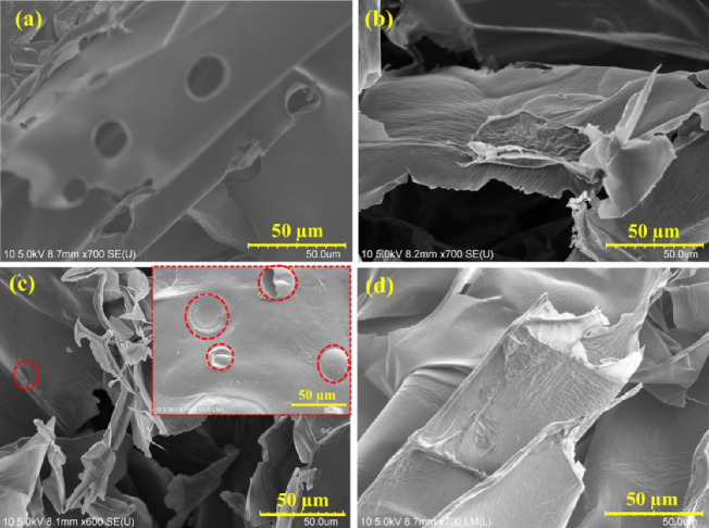 董淑英/朱永法合作CEJ：纤维素石墨烯气凝胶，高效海水淡化与废水净化！