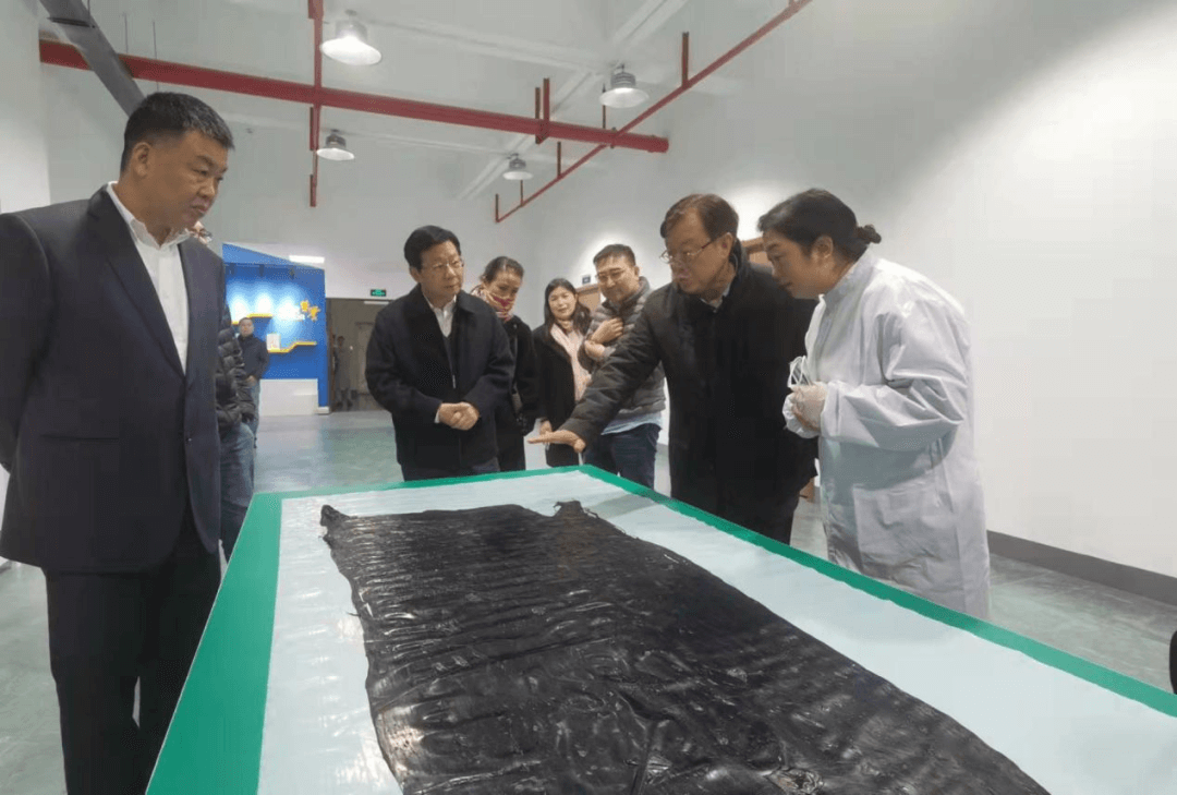 干勇院士调研江苏省石墨烯创新中心