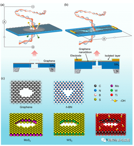 南航 郭万林&仇虎团队《ACS Nano》：综述-石墨烯和其他2D材料纳米孔：测序十年之旅