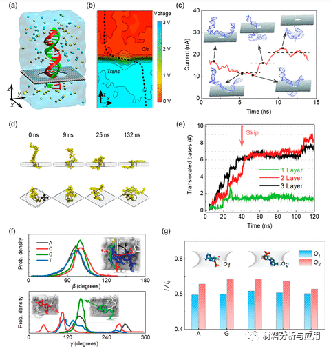 南航 郭万林&仇虎团队《ACS Nano》：综述-石墨烯和其他2D材料纳米孔：测序十年之旅