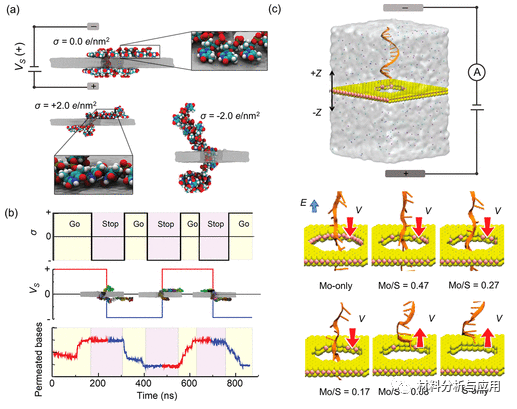 南航 郭万林&仇虎团队《ACS Nano》：综述-石墨烯和其他2D材料纳米孔：测序十年之旅