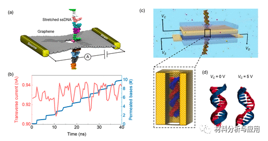 南航 郭万林&仇虎团队《ACS Nano》：综述-石墨烯和其他2D材料纳米孔：测序十年之旅