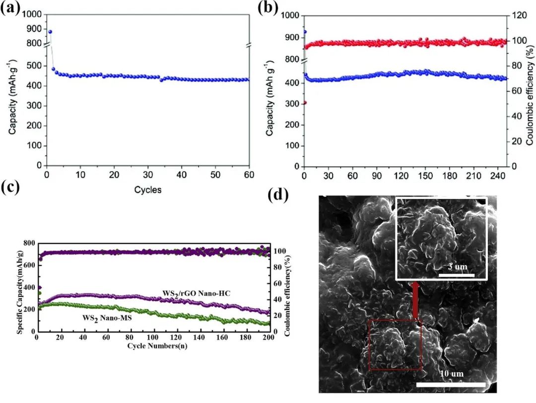 哈工大蔡勖升教授课题组 CEJ 综述：过渡金属硫族化合物/石墨烯异质复合材料在金属离子电池领域的应用