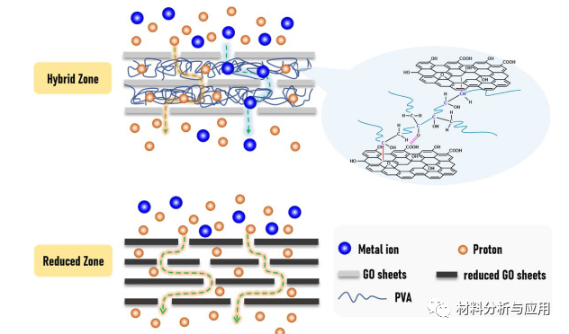 上海师范大学《Carbon》：石墨烯/PVA 复合膜，用于通过电子束辐照进行酸回收
