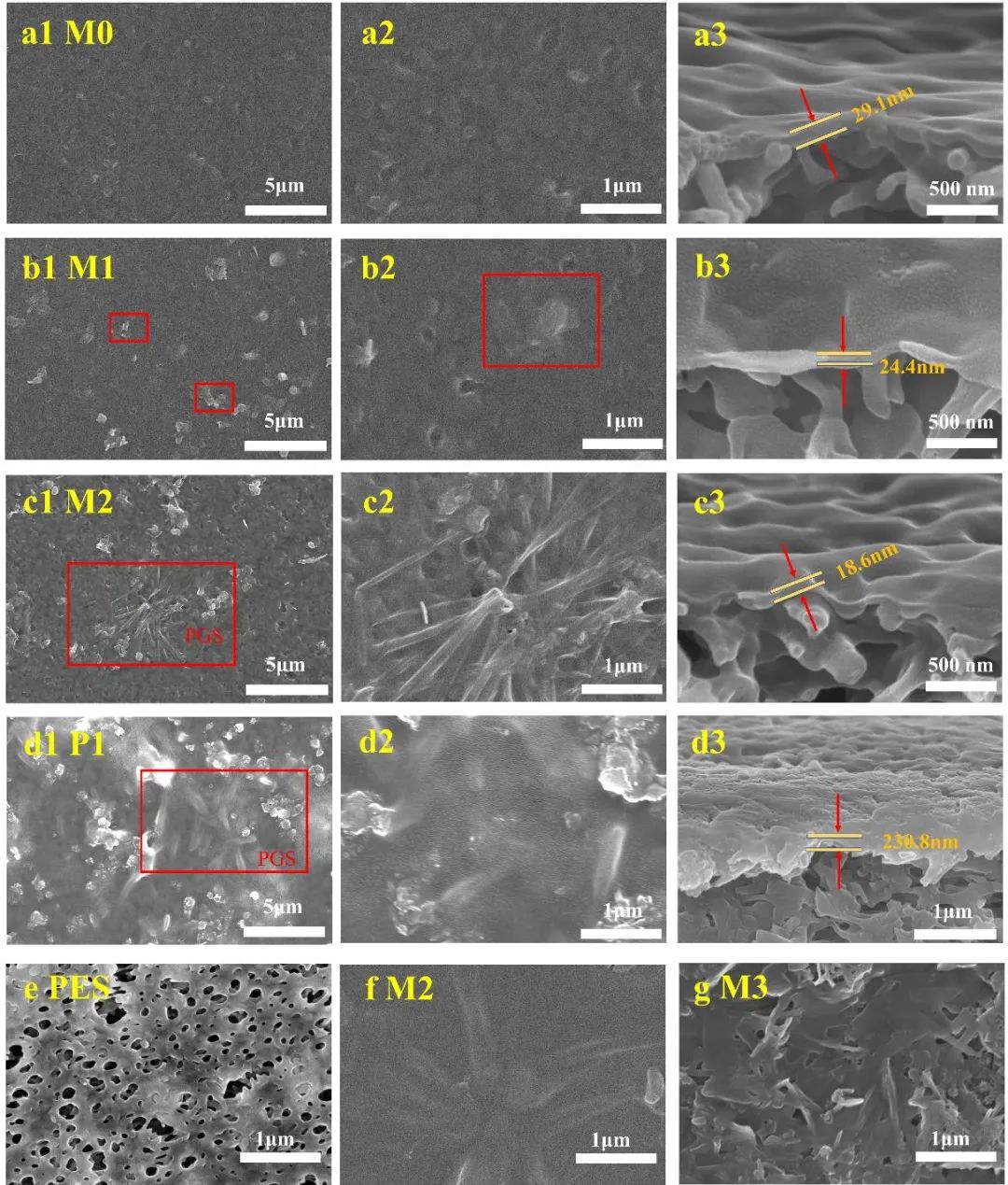 天津工业大学刘海亮课题组 CEJ：多孔石墨烯片的可控合成及其超薄复合膜原位封装设计