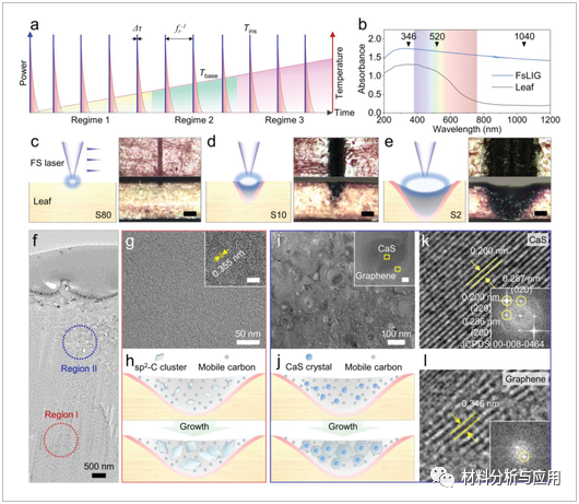 韩国科研院《AFM》：通过激光脉冲在废弃落叶上制备柔性石墨烯-无机混合微型超级电容器
