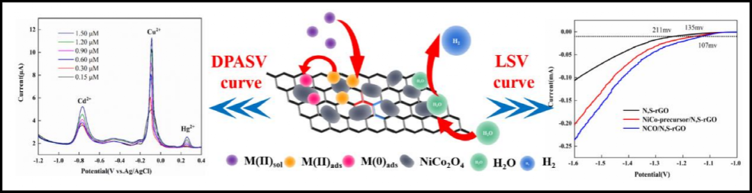 石河子大学陈龙副教授课题组：NiCo2O4附着在N，S共掺杂的氧化石墨烯纳米片应用于多种重金属离子同时检测及HER催化