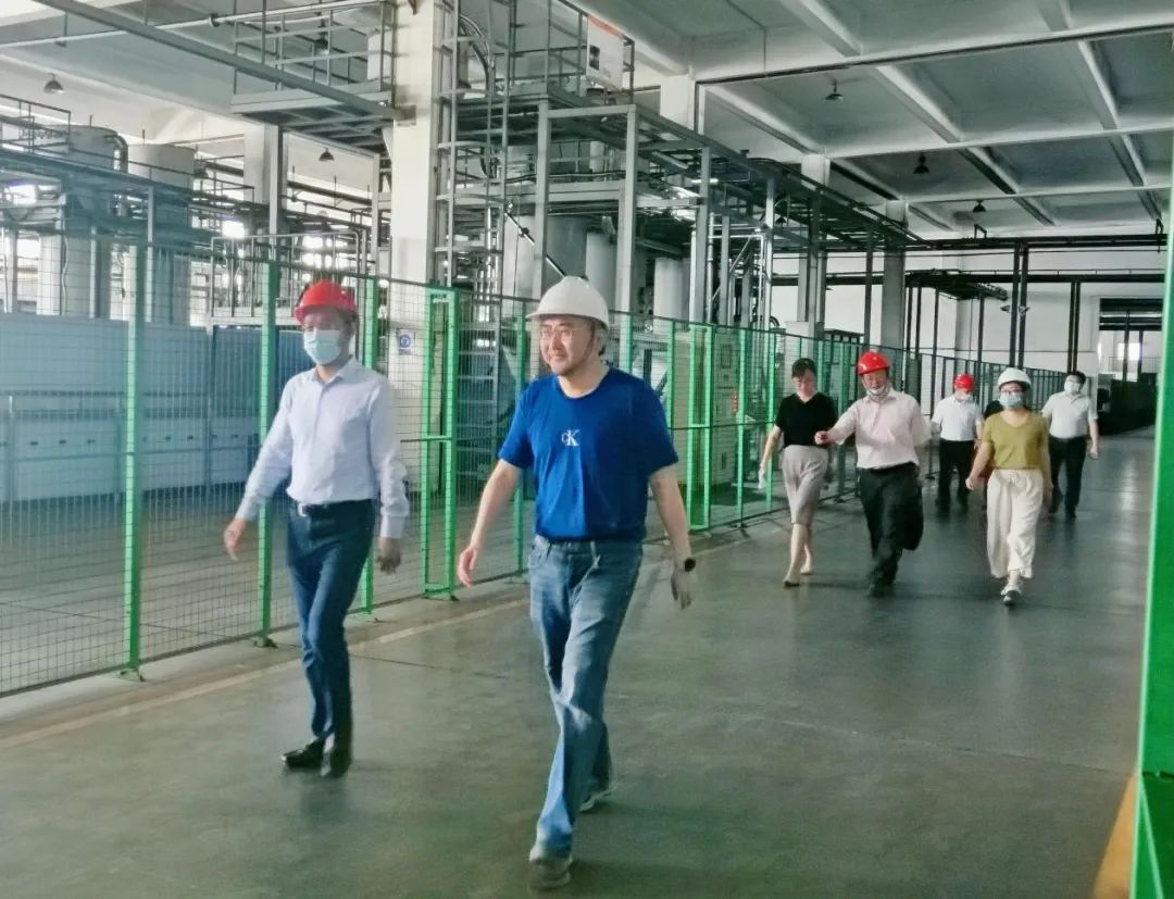 常州副市长徐华勤调研第六元素