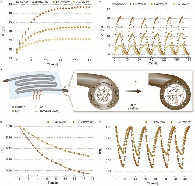 《The Innovation》微流控纺丝+剪切流诱导制备石墨烯涂层水凝胶微纤维