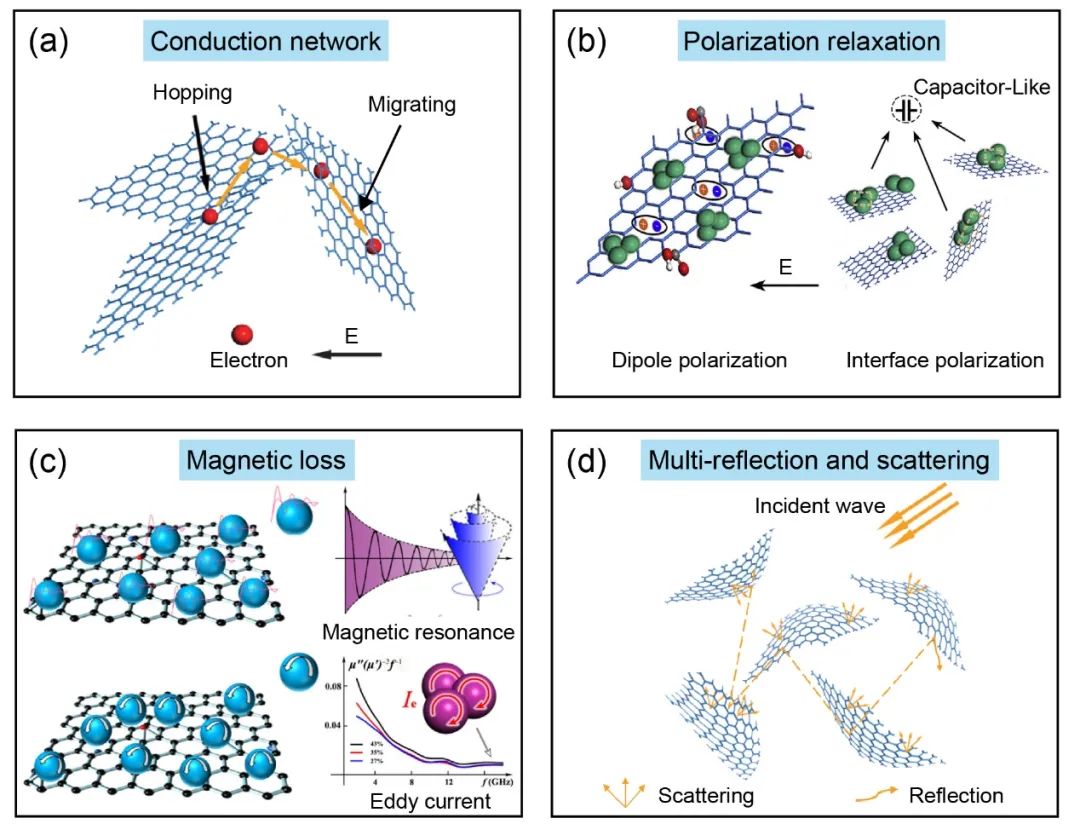 浙江大学高超教授团队AFM综述：石墨烯基功能材料在电磁屏蔽和吸波领域的研究进展