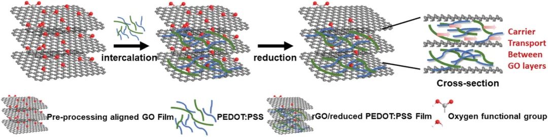 深圳大学陈光明教授《AFM》：复杂手部动作的精确识别？石墨烯复合薄膜的新用途