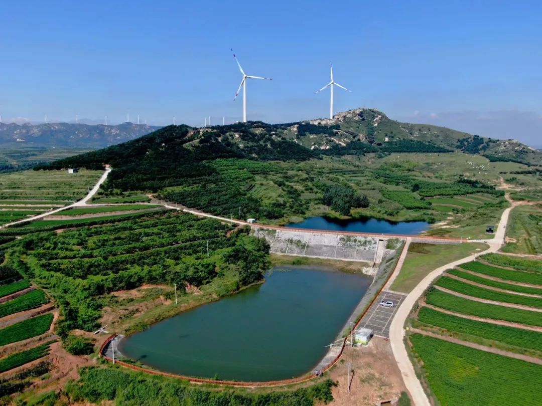 “黑金”释放新动能！青山绿水间“蝶变”升级