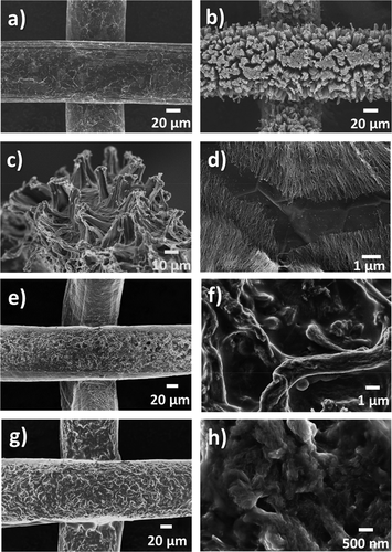 Nano Lett.同济大学陈涛：石墨烯水凝胶纺织电极，实现具有高柔性和可拉伸酶生物燃料电池