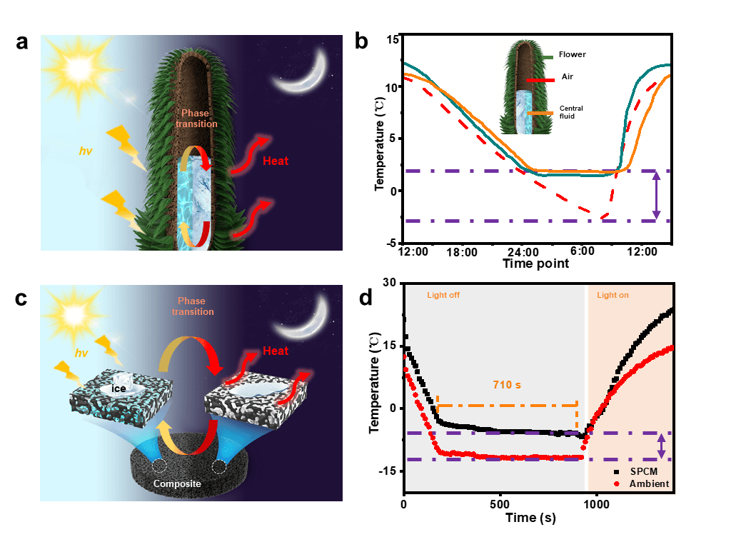 膨胀石墨注入“能量液”，构建全时段光热防冰/除冰复合材料