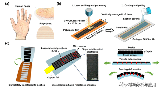 华南理工《ACS AMI》：受指纹启发，基于激光诱导石墨烯的应变传感器