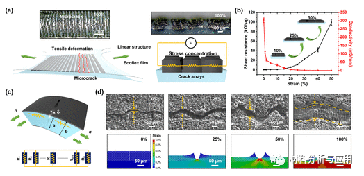 华南理工《ACS AMI》：受指纹启发，基于激光诱导石墨烯的应变传感器