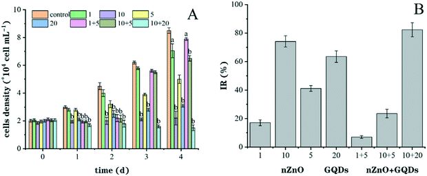 Environmental Science Nano: ZnO纳米颗粒和石墨烯量子点对秋水异弯藻的单一和联合纳米毒性