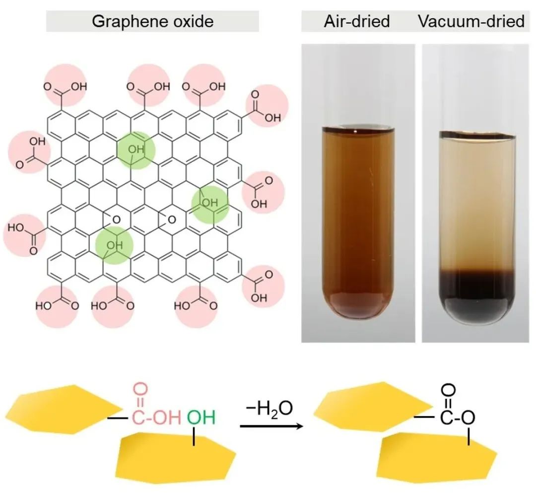 前沿分享 | 氧化石墨烯与水的“拉扯”