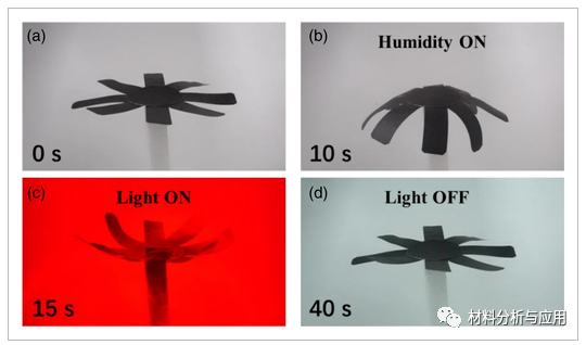 福建船政交通职业学院等《J APPL POLYM SCI》：基于氧化石墨烯复合材料的双响应双向弯曲致动器用于仿生软机器人