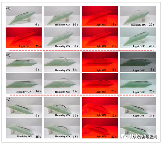 福建船政交通职业学院等《J APPL POLYM SCI》：基于氧化石墨烯复合材料的双响应双向弯曲致动器用于仿生软机器人