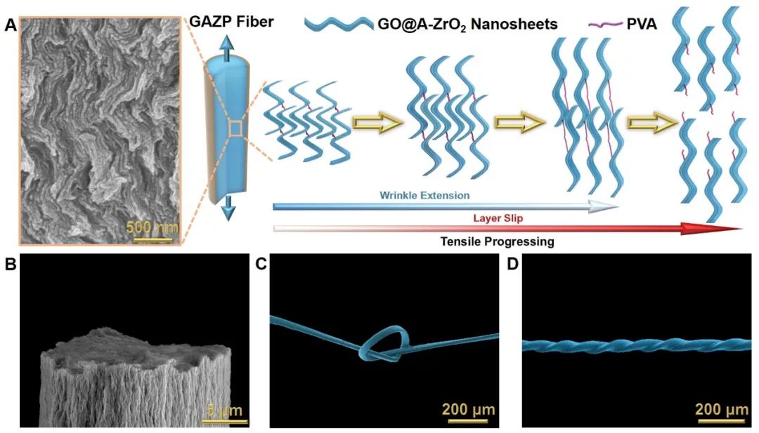 北京航空航天大学郭林教授《Matter》:高强度、高韧性氧化石墨烯基纤维