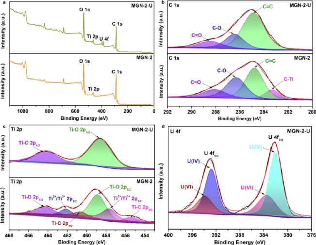 ​西南科大竹文坤今日Chem. Eng. J.：MXene/氧化石墨烯，废水高效分离铀(VI)！