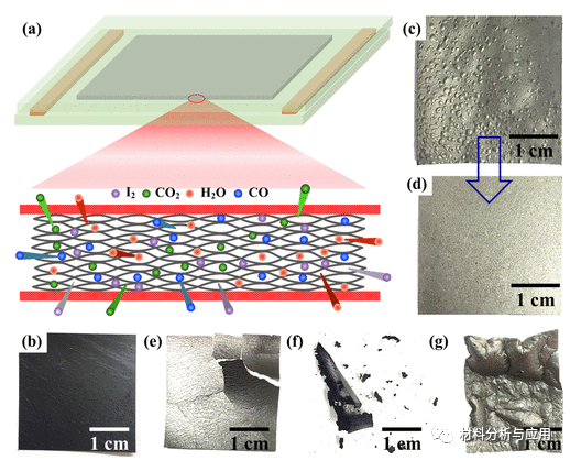 中科院城市环境所《Ind. Eng. Chem. Res》：弹性可折叠耐高温多孔石墨烯薄膜，具有优异电磁屏蔽性能